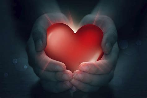 Tender hearts - Online Grief Group Tender Hearts With David Kessler Learn More Thursday March 7, 12 pm PT/ 3pm ET Understanding Loss – Grief 101 Video. Grief is a no-judgement zone. There's no one right way to grieve. In this video, David Kessler explains the sometimes ...